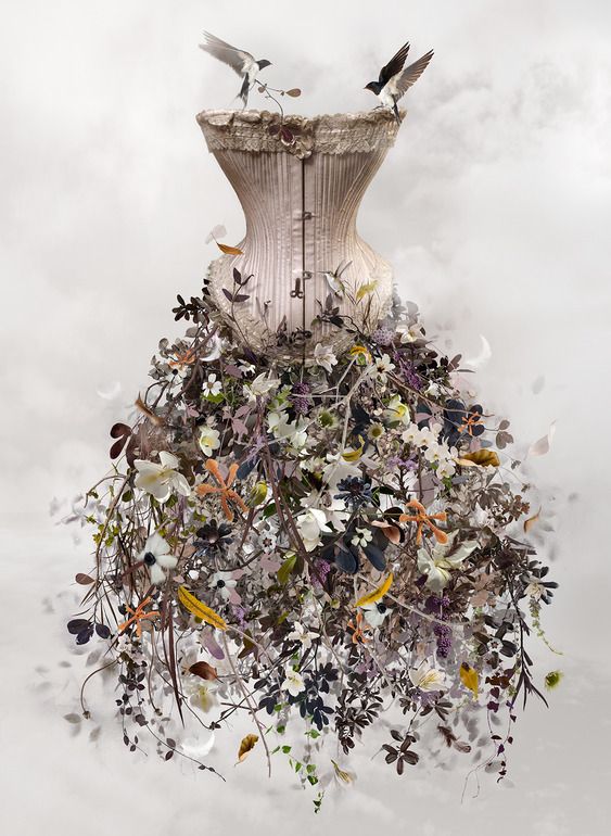 tumblr_nd58o7h2pD1tc110ao1_1280